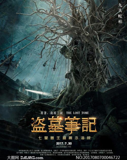 阿姆斯特丹艺术大学会计文凭证书